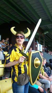 Hvepse-Viking Iben.jpg