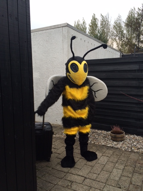 Hvepsen Verner er klar til Tingbjerg Ground